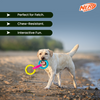 Nerf Dog Translucent Spike 3 Rings Toy for Dogs (Blue/Pink/Yellow) Dogs-Toys Nerf