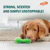 Nerf Dog Super Scent Meat Barbell Interactive Toy for Dogs (Green)