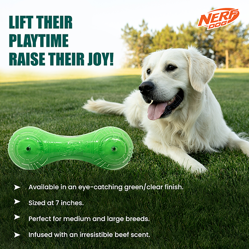 Nerf Dog Super Scent Meat Barbell Interactive Toy for Dogs (Green)