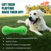 Nerf Dog Super Scent Meat Barbell Interactive Toy for Dogs (Green)