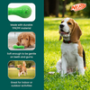 Nerf Dog Super Scent Meat Barbell Interactive Toy for Dogs (Green)