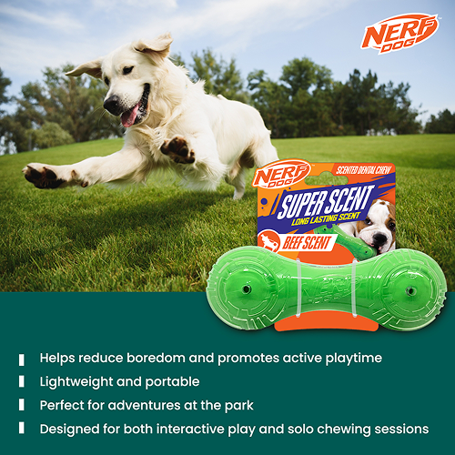 Nerf Dog Super Scent Meat Barbell Interactive Toy for Dogs (Green)