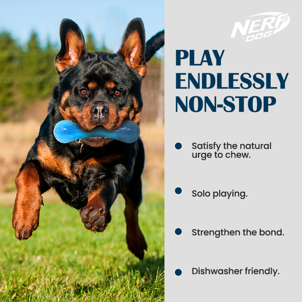 Nerf Bash Ultra Tough TPR Bone Toy for Dogs (Blue) Dogs-Toys Nerf