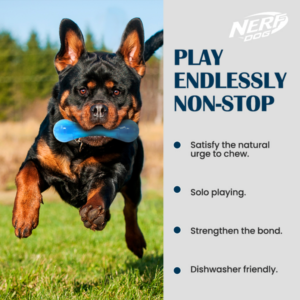 Nerf Bash Ultra Tough TPR Bone Toy for Dogs (Blue)