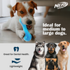 Nerf Bash Ultra Tough TPR Bone Toy for Dogs (Blue) Dogs-Toys Nerf