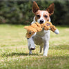 Kong Scrunch Knots Squirrel Toy for Dogs (Brown) Dogs-Toys Kong