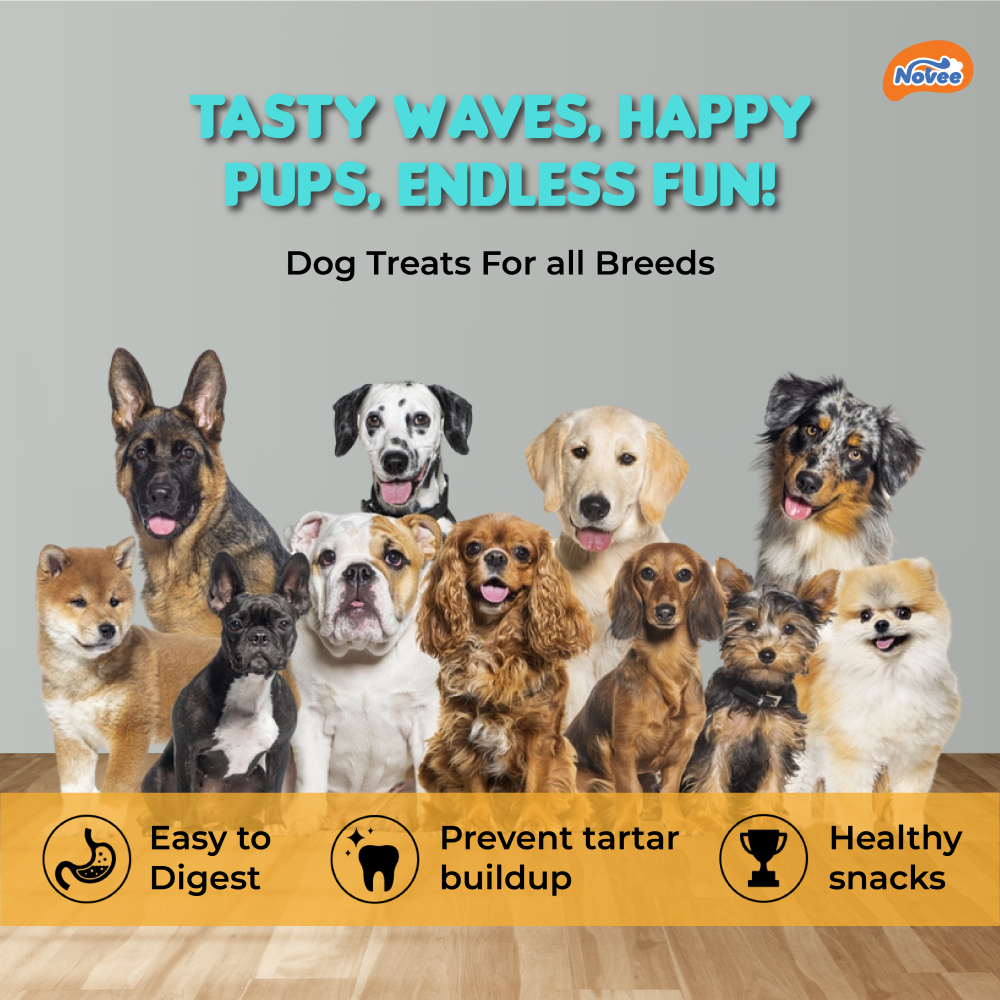 Novee Wave Cut Duo Chicken and Lamb Jerky Treats for Dogs Dog Treats + Others Novee