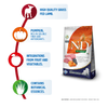 Farmina N&D Pumpkin Lamb & Blueberry Grain Free Puppy Medium Maxi Dog Dry Food Dogs- Dry Food Farmina N&D