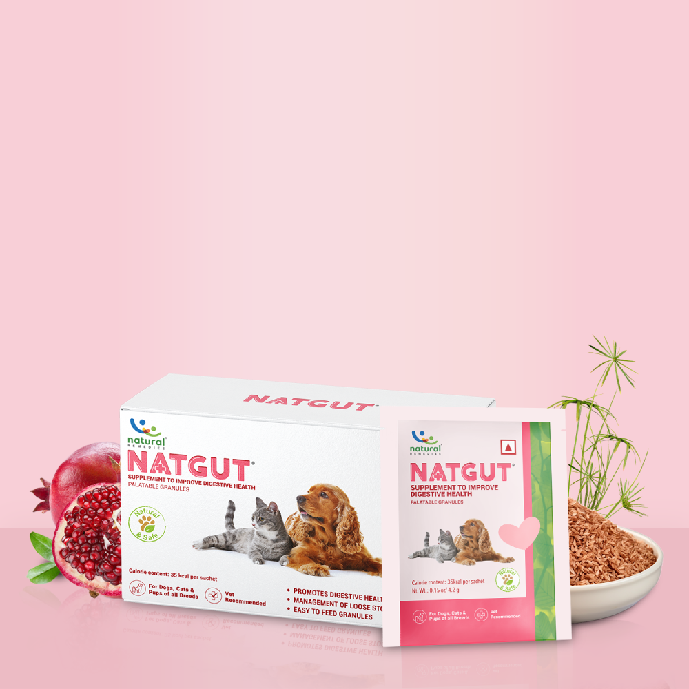 Natural Remedies Natgut Granules 4.2 GMS Sachet Supplement for Cats and Dogs Both-Health & Wellness Natural Remedies Pack of 1