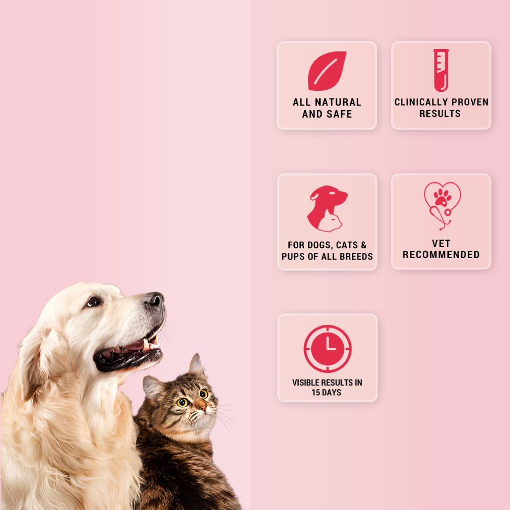 Natural Remedies Natgut Granules 4.2 GMS Sachet Supplement for Cats and Dogs Both-Health & Wellness Natural Remedies