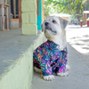 15buttons Neon Tropical Shirt for Dogs Dogs-Clothing & Accessories 15buttons Dropship