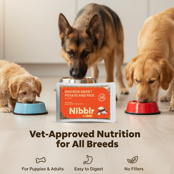 Nibblr By Nootie Wholesome Chicken Sweet Potato & Rice Ready to Eat Meal Dog Wet Food