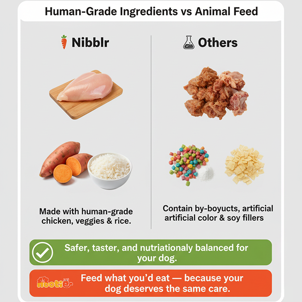 Nibblr By Nootie Wholesome Chicken Sweet Potato & Rice Ready to Eat Meal Dog Wet Food Dogs-Fresh Food Nootie