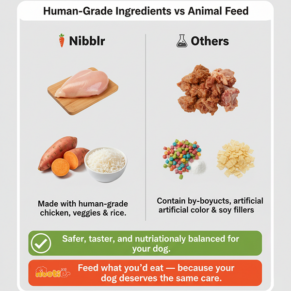 Nibblr By Nootie Wholesome Chicken Sweet Potato & Rice Ready to Eat Meal Dog Wet Food