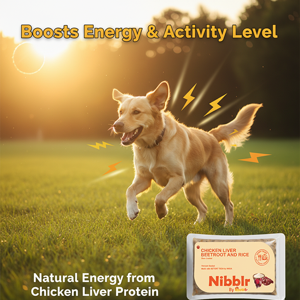 Nibblr By Nootie Wholesome Chicken Liver Beetroot & Rice Ready to Eat Meal Dog Wet Food Dogs-Fresh Food Nootie