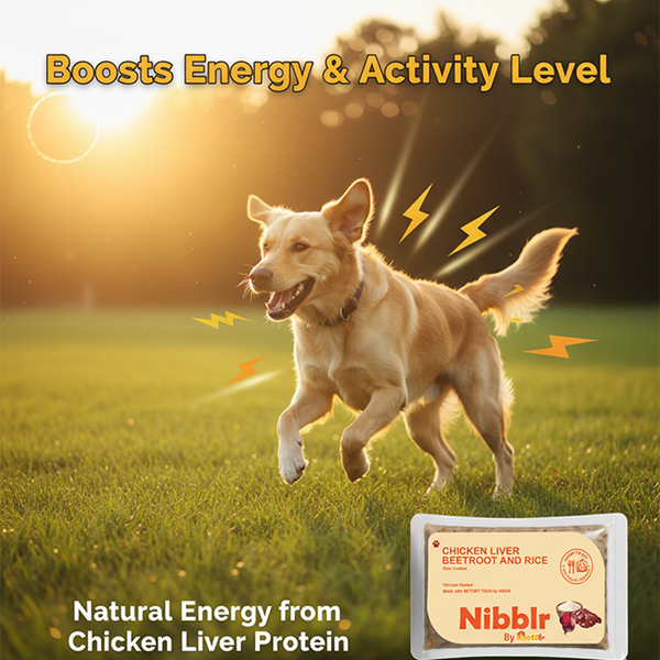 Nibblr By Nootie Wholesome Chicken Liver Beetroot & Rice Ready to Eat Meal Dog Wet Food