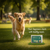 Nibblr By Nootie Wholesome Chicken Veggie & Rice Ready to Eat Meal Dog Wet Food Dogs-Fresh Food Nootie