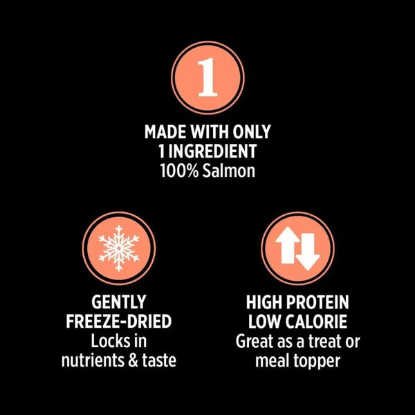 Nutrience Freeze Salmon Dried Cat Treats