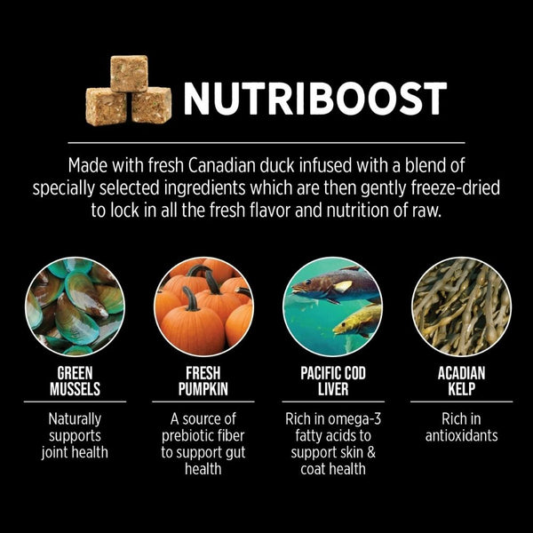 Nutrience SubZero Northern Lakes Fish and Duck Flavoured Dog Dry Food