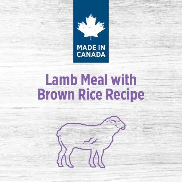 Nutrience Original Lamb Meal and Brown Rice Recipe Adult Dog Dry Food