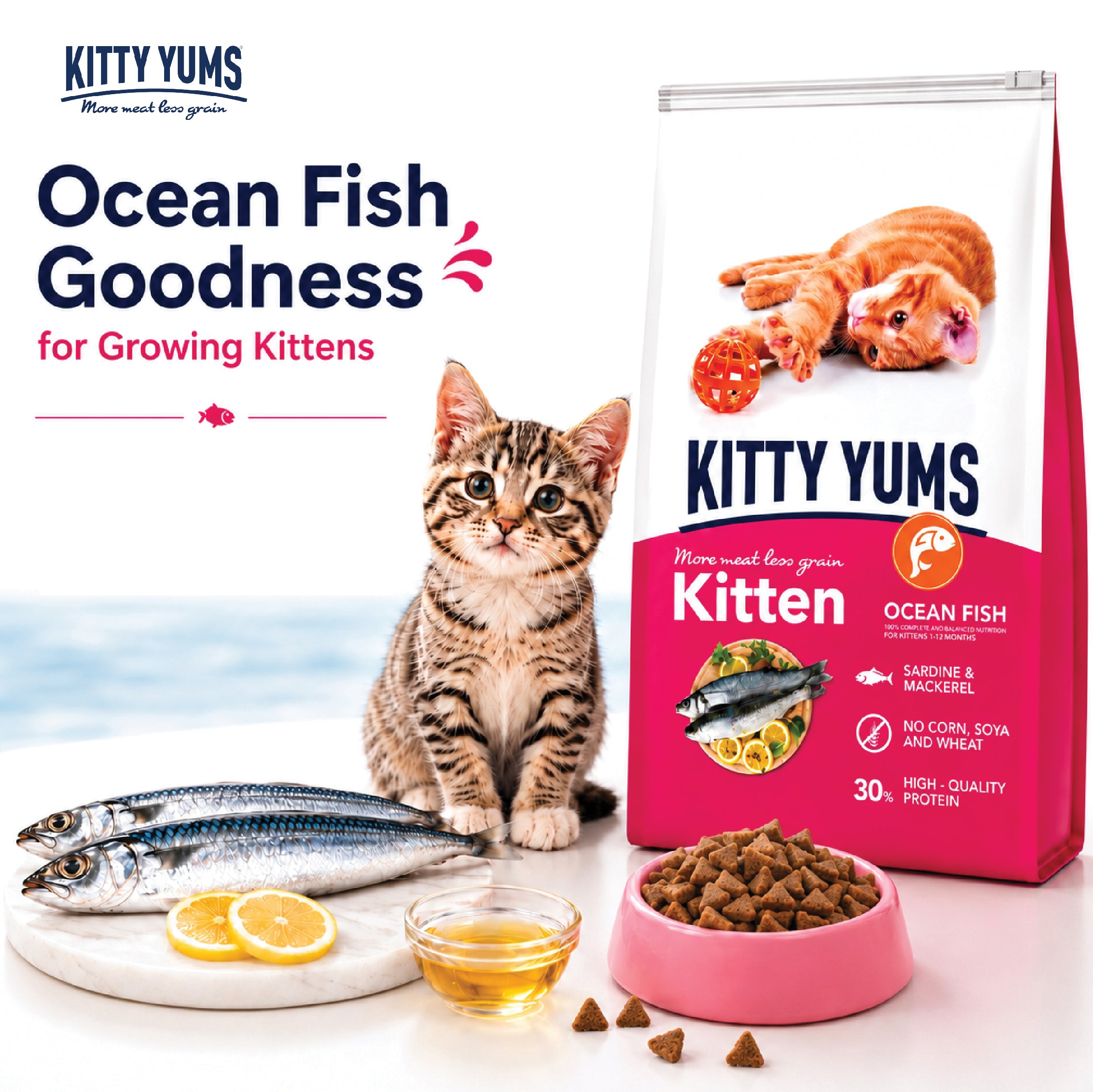 Kitty Yums Ocean Fish Kitten (1 to 12 Months) Cat Dry Food Cats- Dry food Kitty Yums