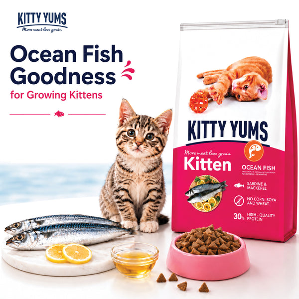 Kitty Yums Ocean Fish Kitten (1 to 12 Months) Cat Dry Food