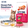Kitty Yums Ocean Fish Kitten (1 to 12 Months) Cat Dry Food Cats- Dry food Kitty Yums