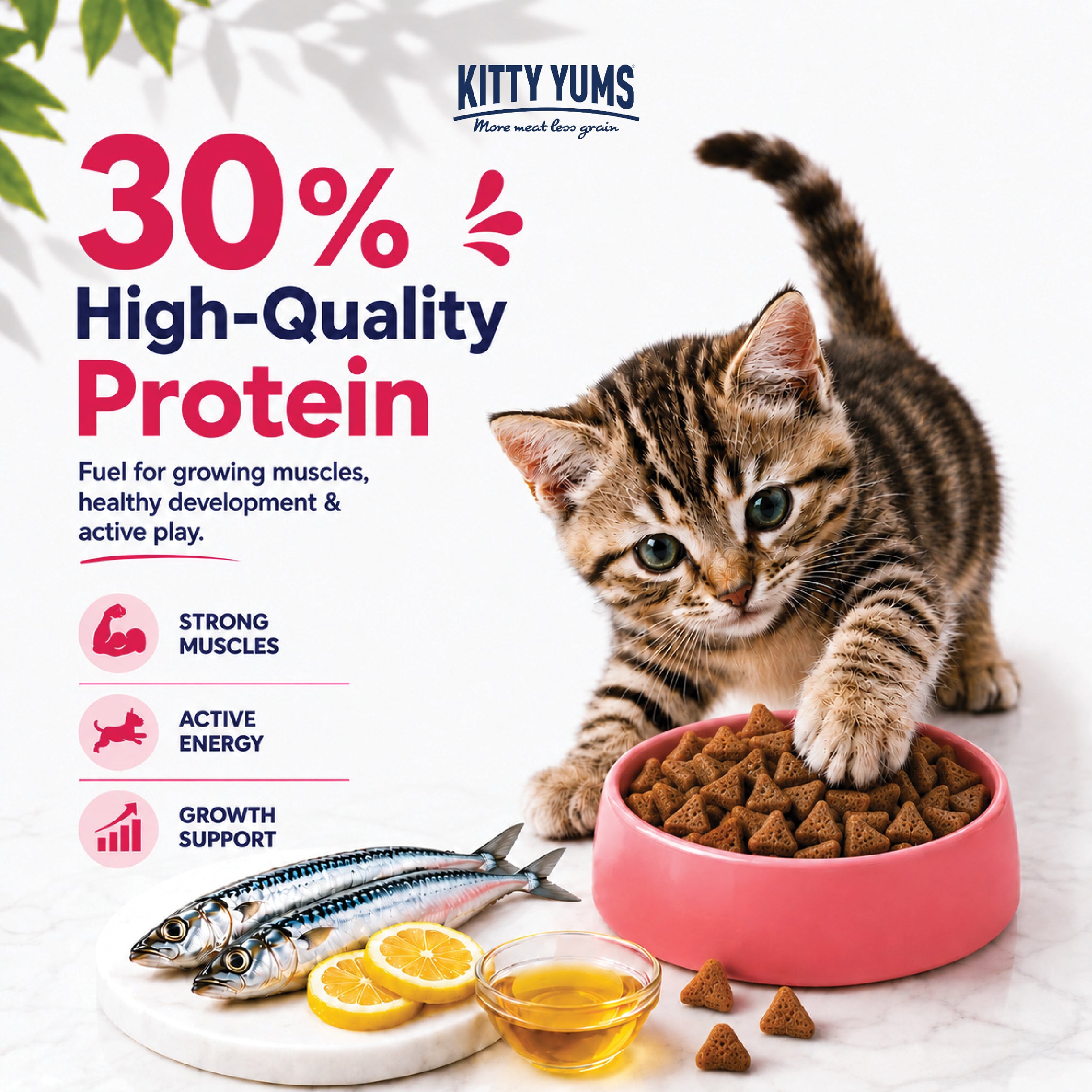 Kitty Yums Ocean Fish Kitten (1 to 12 Months) Cat Dry Food Cats- Dry food Kitty Yums