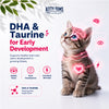 Kitty Yums Ocean Fish Kitten (1 to 12 Months) Cat Dry Food Cats- Dry food Kitty Yums