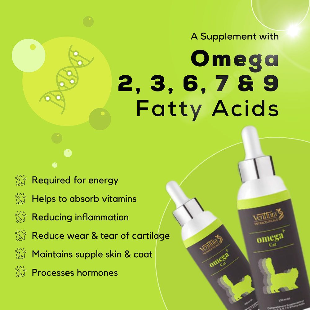 Venttura Healthy Skin & Glowing Coat Omega Fatty Acid Supplement for Cats Cats-Health & Wellness Venttura