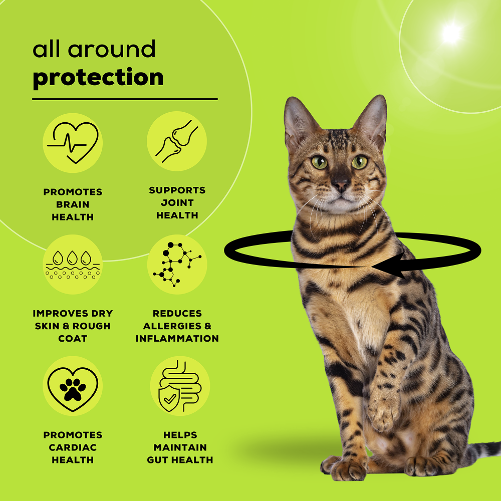 Venttura Healthy Skin & Glowing Coat Omega Fatty Acid Supplement for Cats Cats-Health & Wellness Venttura