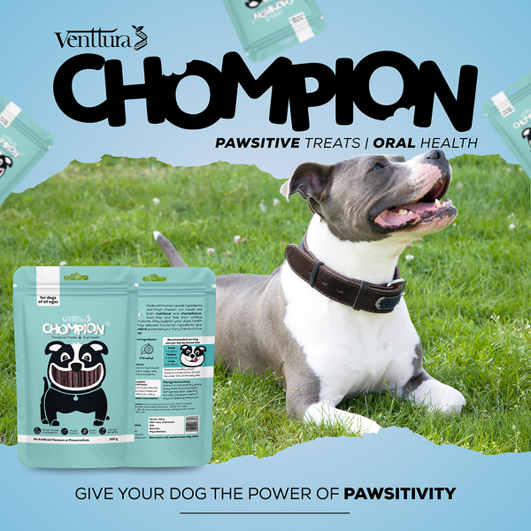 Venttura Chompion Pawsitive Oral Health Dog Treats