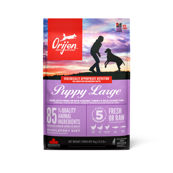 Orijen Large Puppy Dry Food