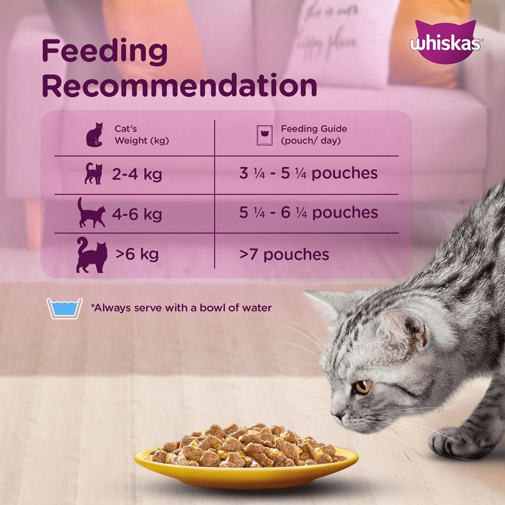 Whiskas Tuna in Jelly Meal and Chicken Gravy Adult Cat Wet Food Combo Cats-Wet Food Whiskas