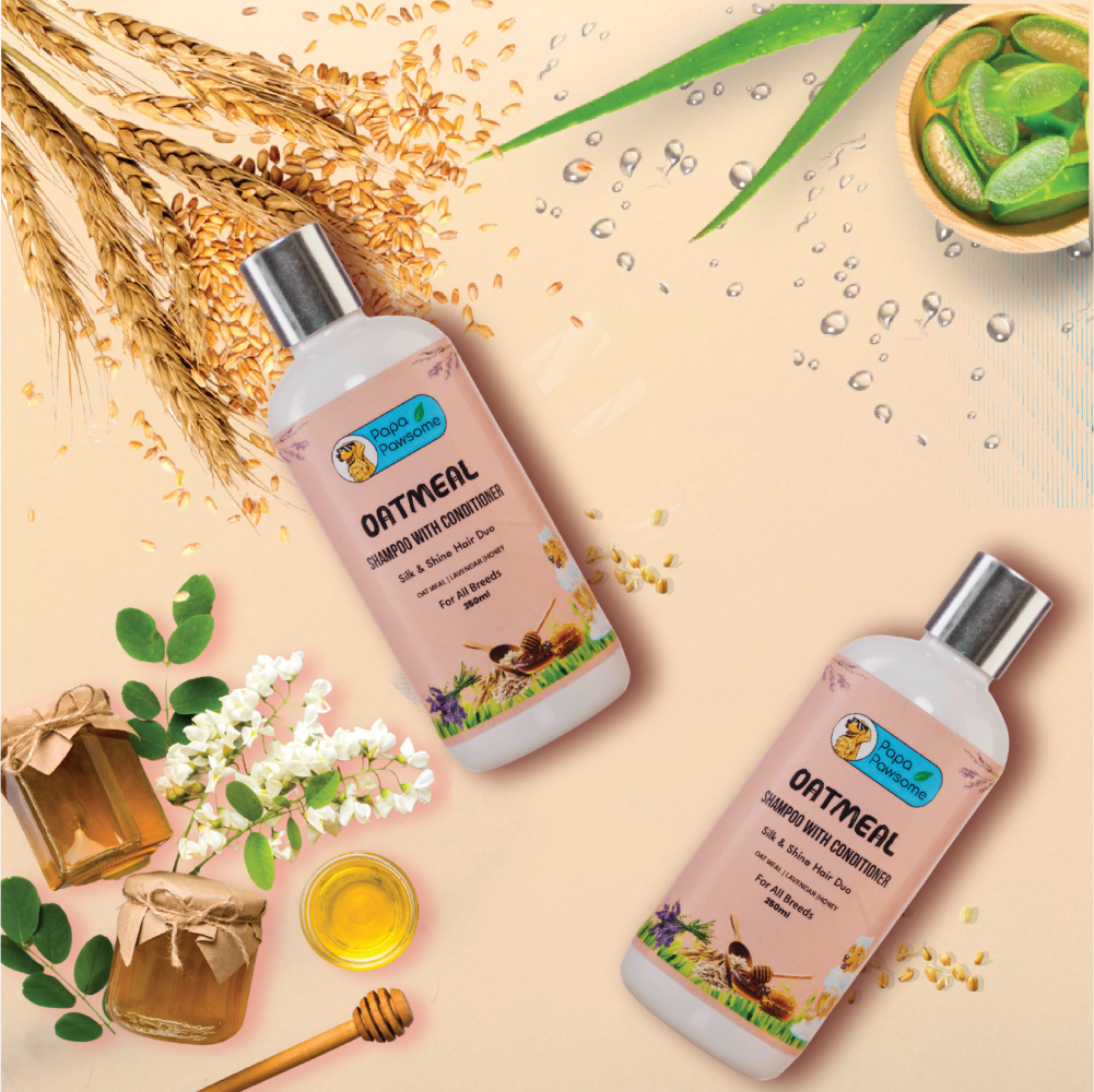 Papa Pawsome Oatmeal Shampoo with Conditioner for Dogs (Limited Shelf Life) Dogs-Grooming Supplies Papa Pawsome