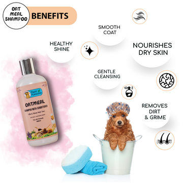 Papa Pawsome Oatmeal Shampoo with Conditioner for Dogs