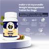 FurBall Story Obipet Weight Management Tablets for Dogs Both-Health & Wellness Furball Story
