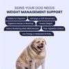 FurBall Story Obipet Weight Management Tablets for Dogs Both-Health & Wellness Furball Story