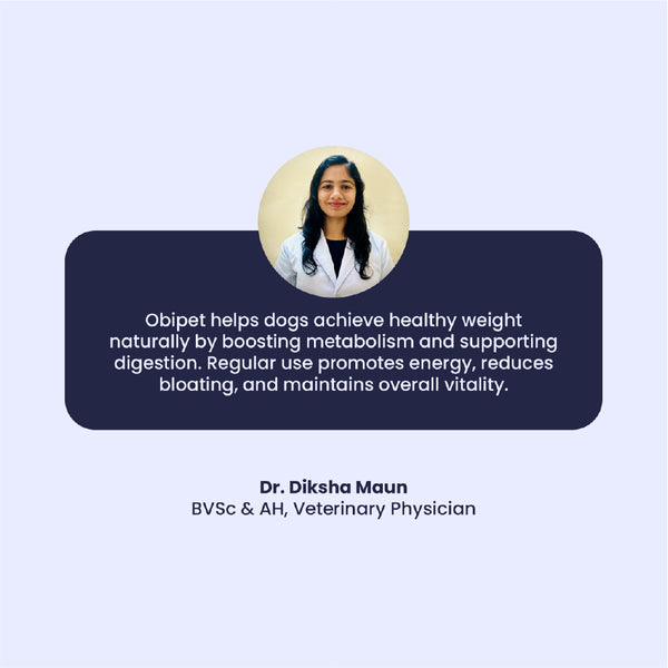 FurBall Story Obipet Weight Management Tablets for Dogs