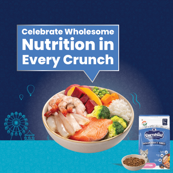 Carniwel Ocean Fish and Krill For Kitten Cat Dry Food