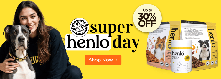 Fuss dog shop online online