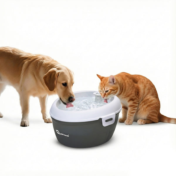 Petverse Oral Care Water Fountain for Dogs & Cats