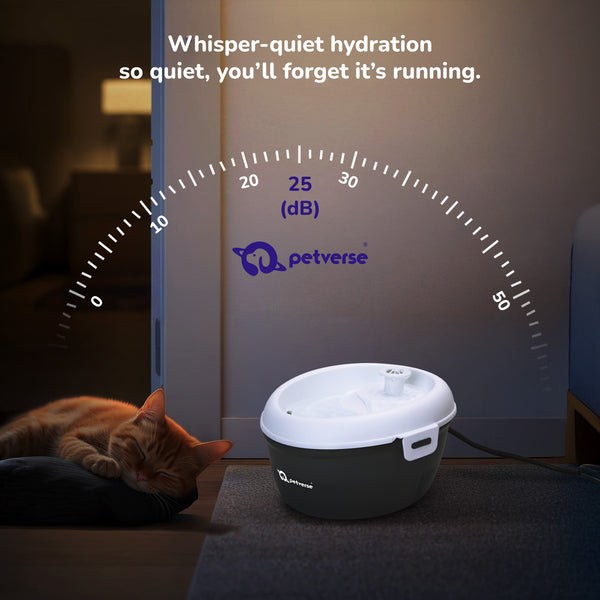 Petverse Oral Care Water Fountain for Dogs & Cats