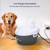 Petverse Oral Care Water Fountain for Dogs & Cats Both-Bowls & Feeders Petverse Dropship