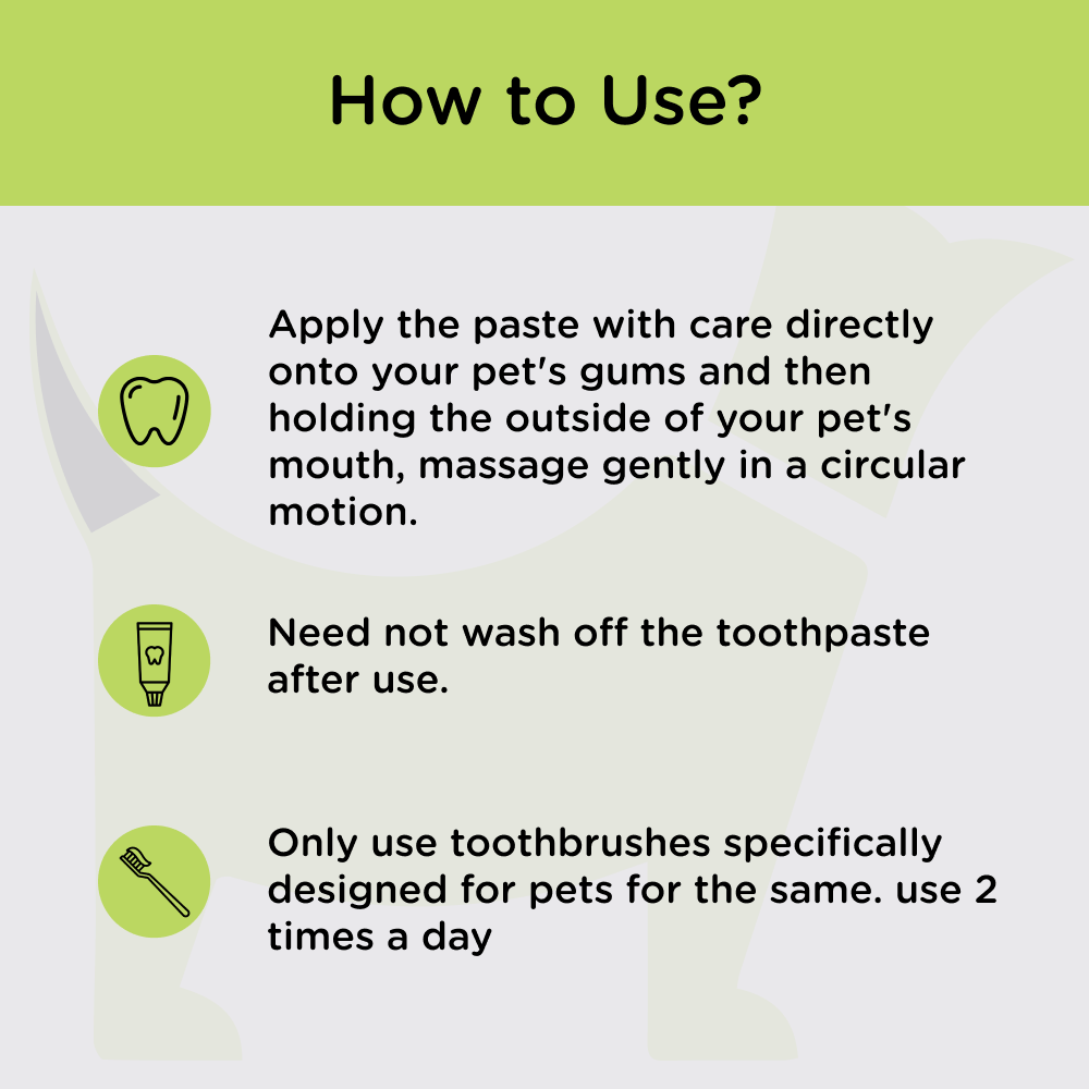 Trixie Toothpaste with Tea Tree Oil and Toothbrush for Dogs Dogs-Health & Wellness Trixie