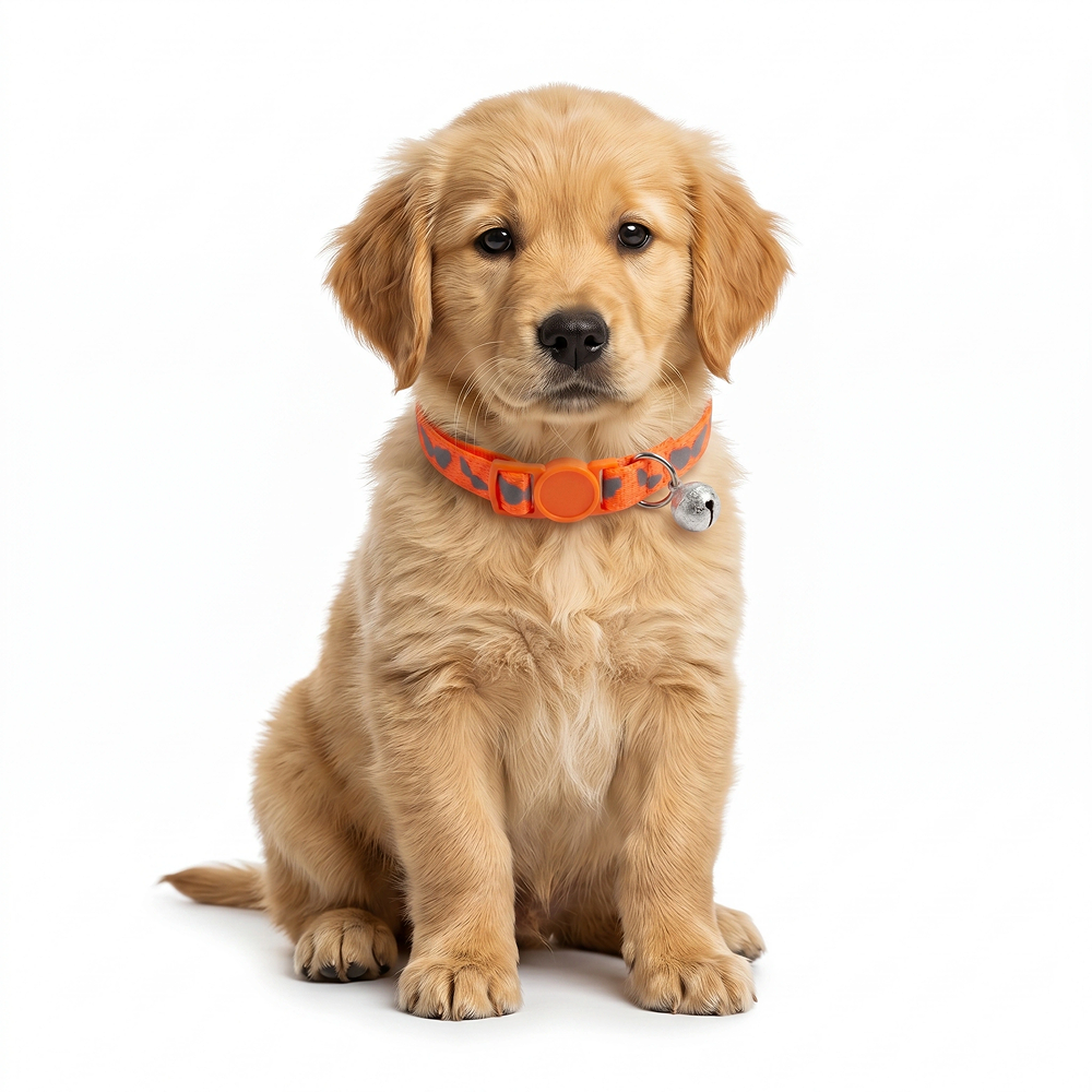 Basil Printed Collar for Cats & Puppies (Orange) Both-Collar, Leashes, harnesses Basil