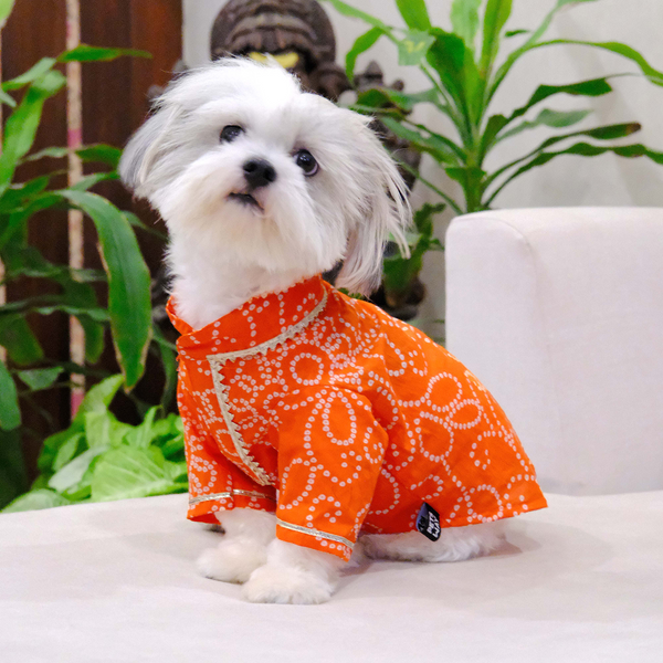 Pets Way Bandhani Print Kurta for Dogs (Rust)