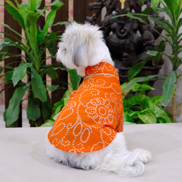 Pets Way Bandhani Print Kurta for Dogs (Rust)