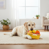 Skatrs Pawldiram Mithai Box Plush Toy for Dogs Both-Toys Skatrs 15x13.5cm