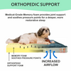 Petter World Orthopedic Memory Foam Bed With Large Sleep Surface for Dogs (Bottle Green) Both-Bedding, Mats & Travel Supplies Petter World Dropship